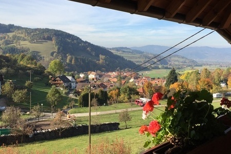 -Dreisamtal Aussicht Balkon